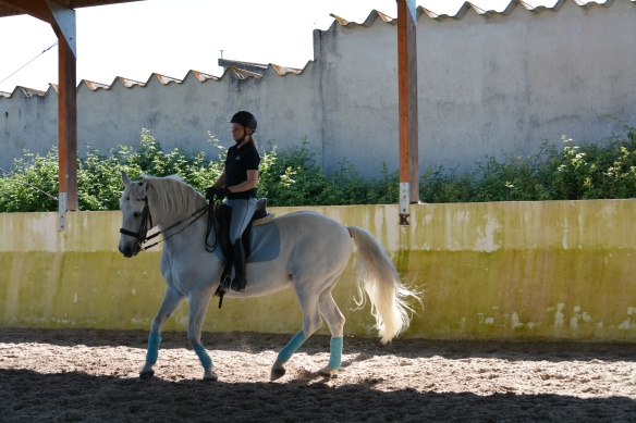 JA Rickyn kanssa treenattiin myös niitä piruetteja, kuten parilla aikaisemmallakin matkalla saman hevosen kanssa.  